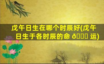 戊午日生在哪个时辰好(戊午日生于各时辰的命 🍀 运)